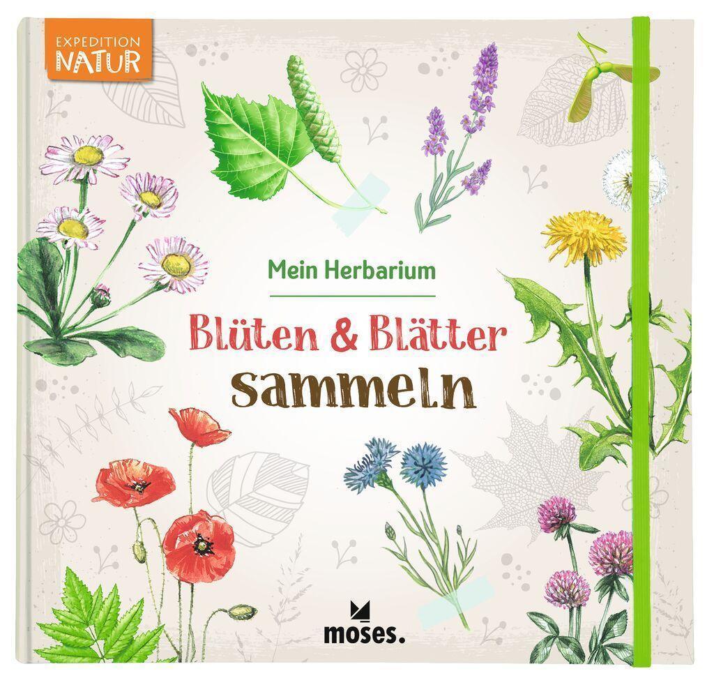 Cover: 9783964551924 | Blüten & Blätter sammeln | Mein Herbarium | Anke Küpper | Taschenbuch