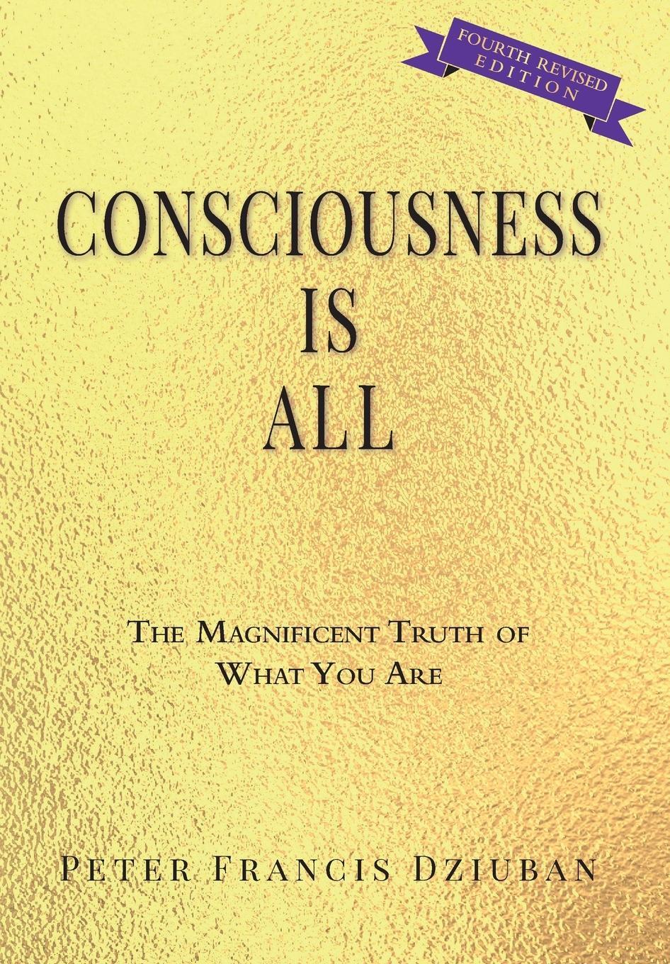 Cover: 9780998652467 | Consciousness Is All | The Magnificent Truth of What You Are | Dziuban