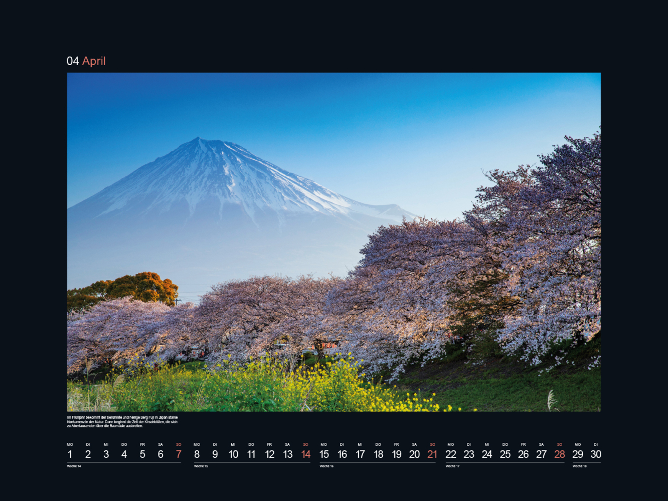Bild: 9783965912663 | Jahreszeiten - KUNTH Wandkalender 2024 | Kalender | 14 S. | Deutsch