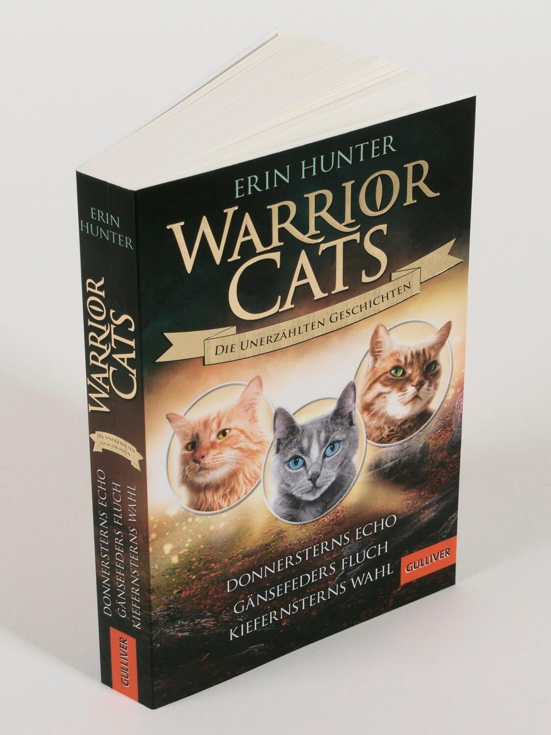 Bild: 9783407813022 | Warrior Cats - Die unerzählten Geschichten | Erin Hunter | Taschenbuch