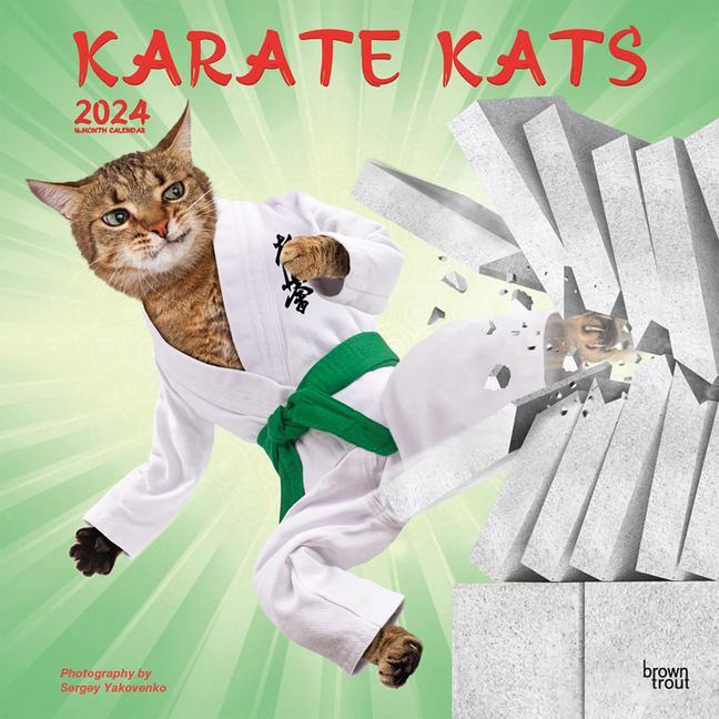 Cover: 9781975466954 | Karate Kats 2024 Square | Browntrout | Kalender | Englisch | 2024