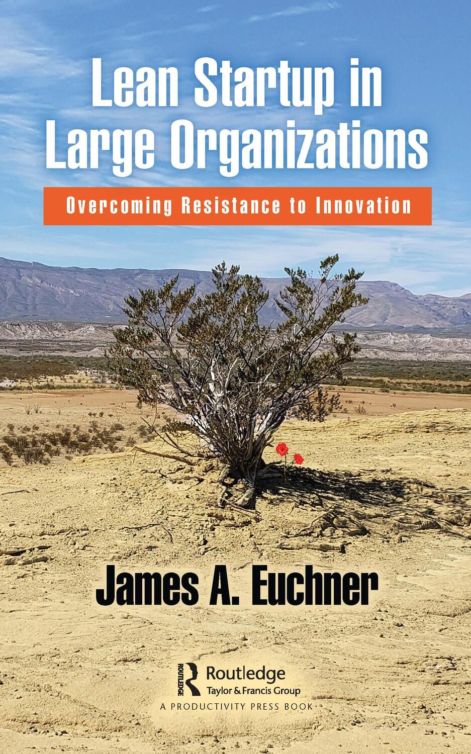 Cover: 9781138359130 | Lean Startup in Large Organizations | James A. Euchner | Taschenbuch