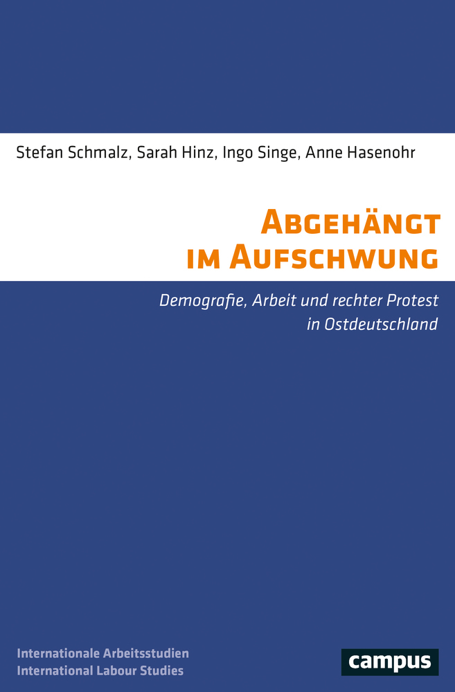 Cover: 9783593510088 | Abgehängt im Aufschwung | Stefan Schmalz (u. a.) | Taschenbuch | 2021