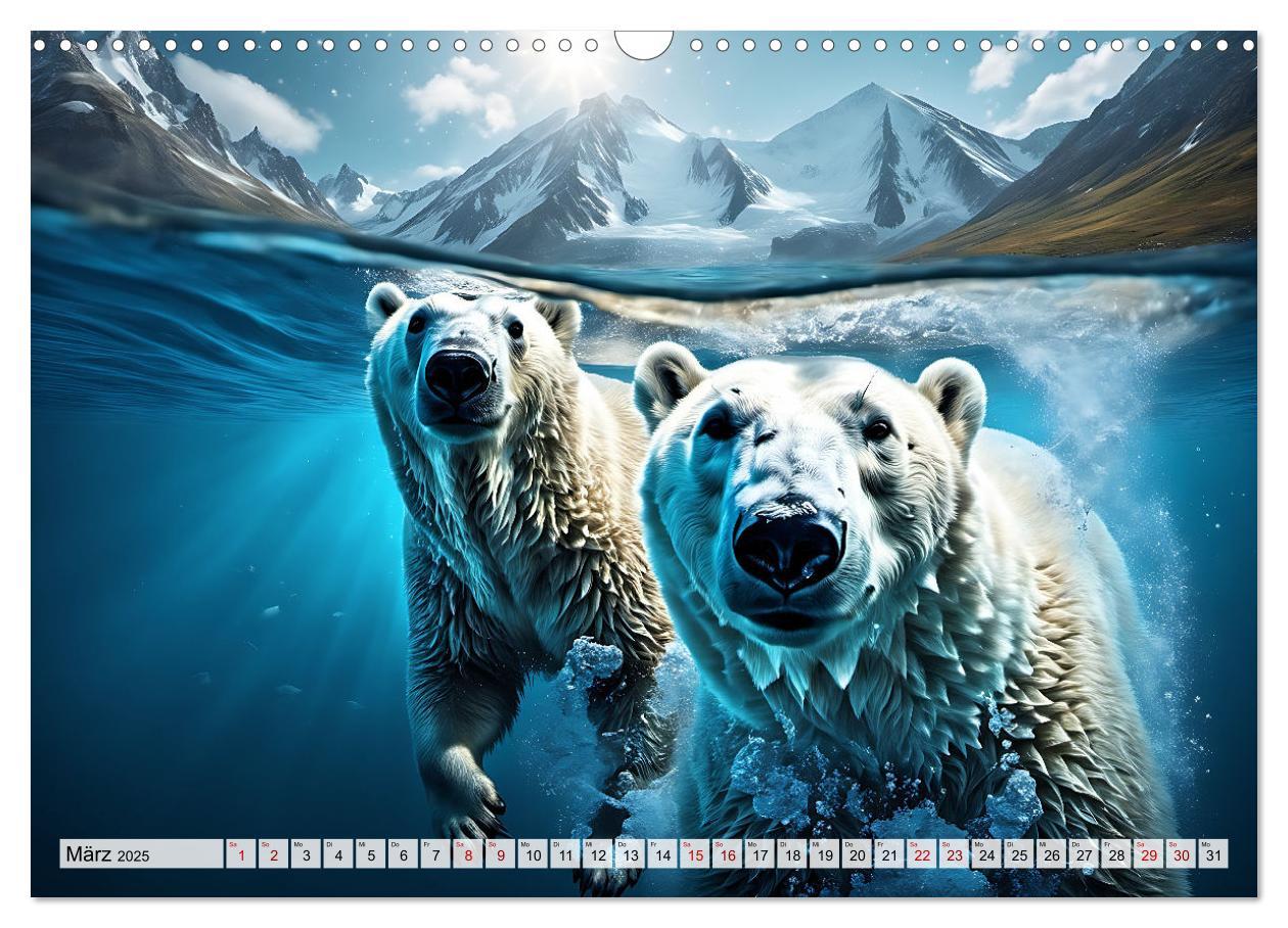 Bild: 9783383858529 | Im magischen Land der Eisbären (Wandkalender 2025 DIN A3 quer),...