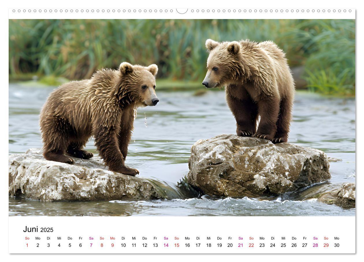 Bild: 9783457170458 | Bären - gefährlich nett (Wandkalender 2025 DIN A2 quer), CALVENDO...