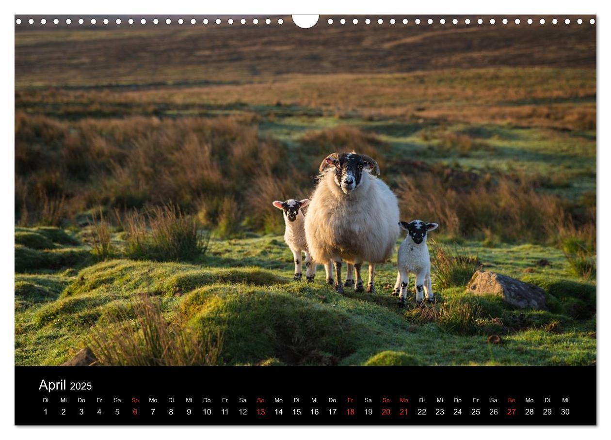 Bild: 9783435709243 | Schottland - Scotland - Alba (Wandkalender 2025 DIN A3 quer),...