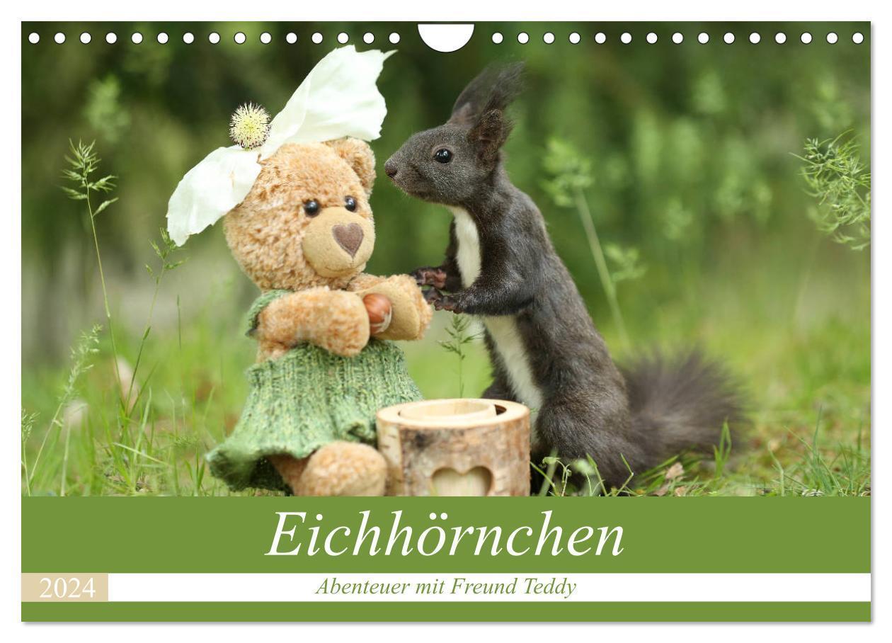 Cover: 9783675851948 | Eichhörnchen - Abenteuer mit Freund Teddy (Wandkalender 2024 DIN A4...