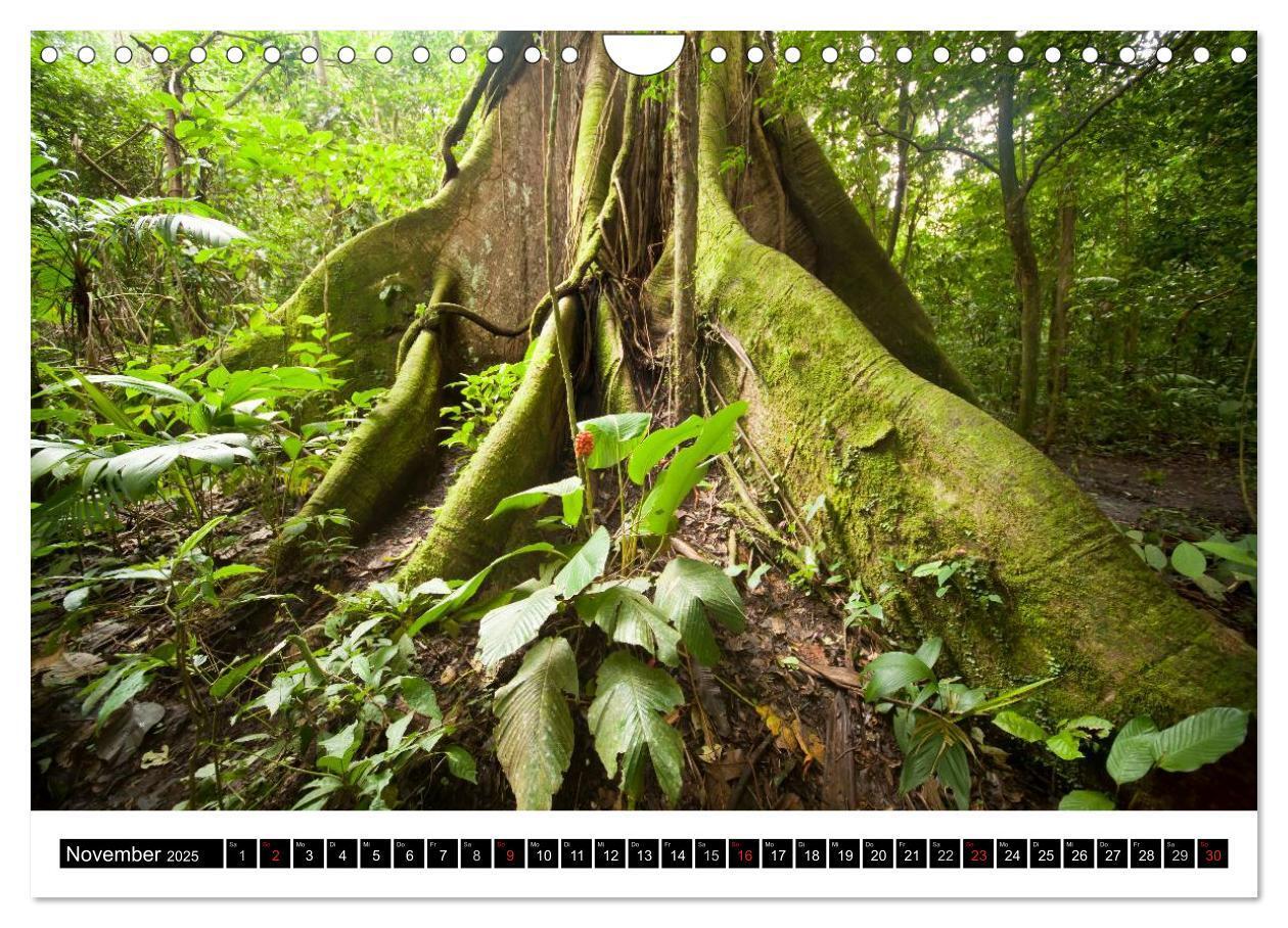 Bild: 9783435831128 | Costa Rica (Wandkalender 2025 DIN A4 quer), CALVENDO Monatskalender