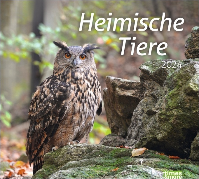 Cover: 9783756403301 | Heimische Tiere Bildkalender 2024. In diesem dekorativen Kalender...