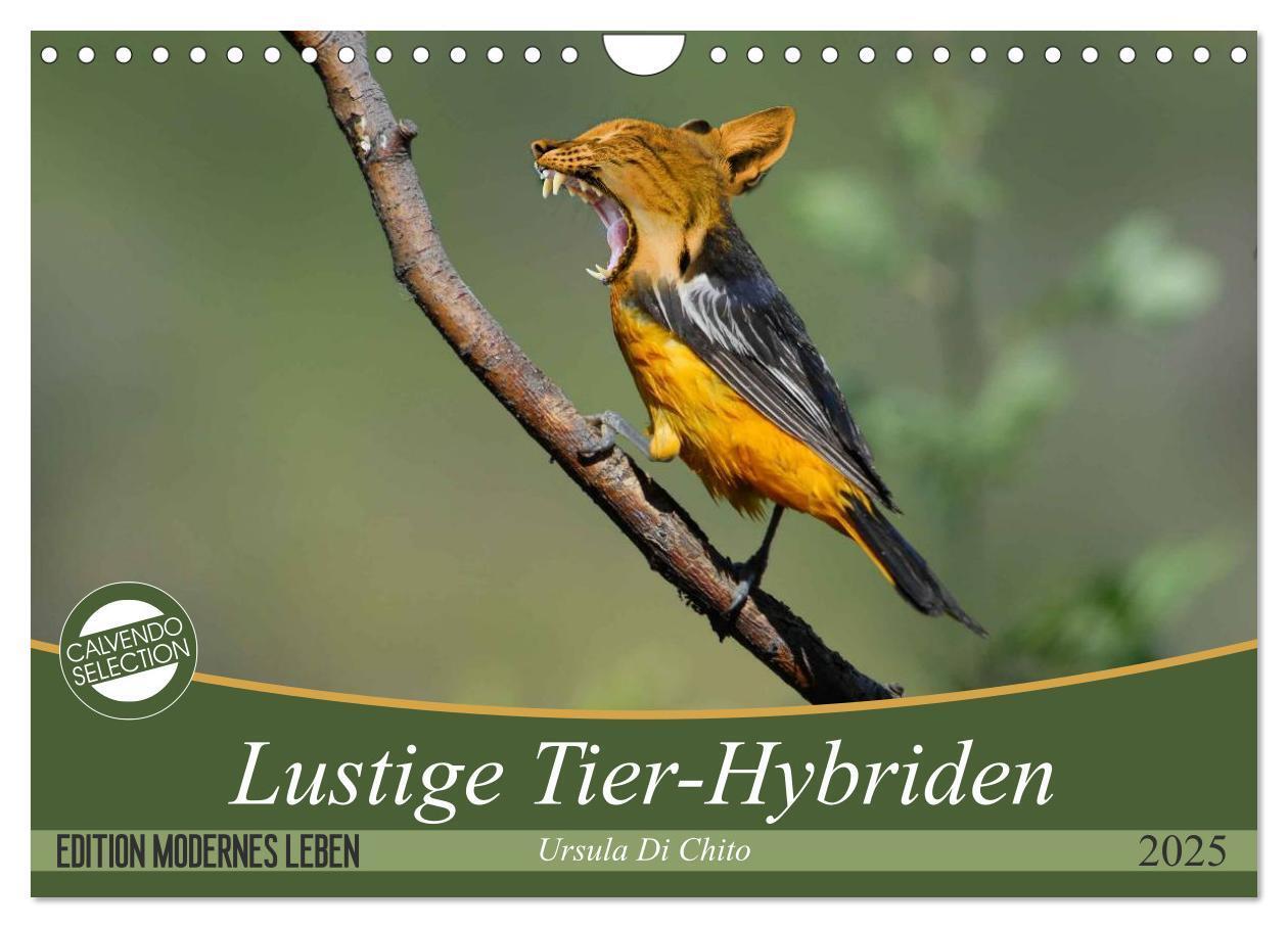 Cover: 9783435419296 | Lustige Tier-Hybriden (Wandkalender 2025 DIN A4 quer), CALVENDO...