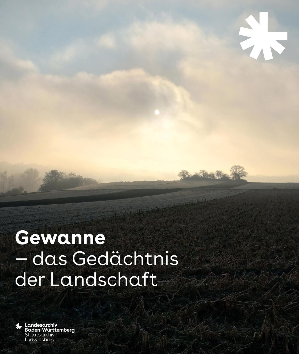 Cover: 9783170401266 | Gewanne - Das Gedächtnis der Landschaft | Taschenbuch | 100 S. | 2021