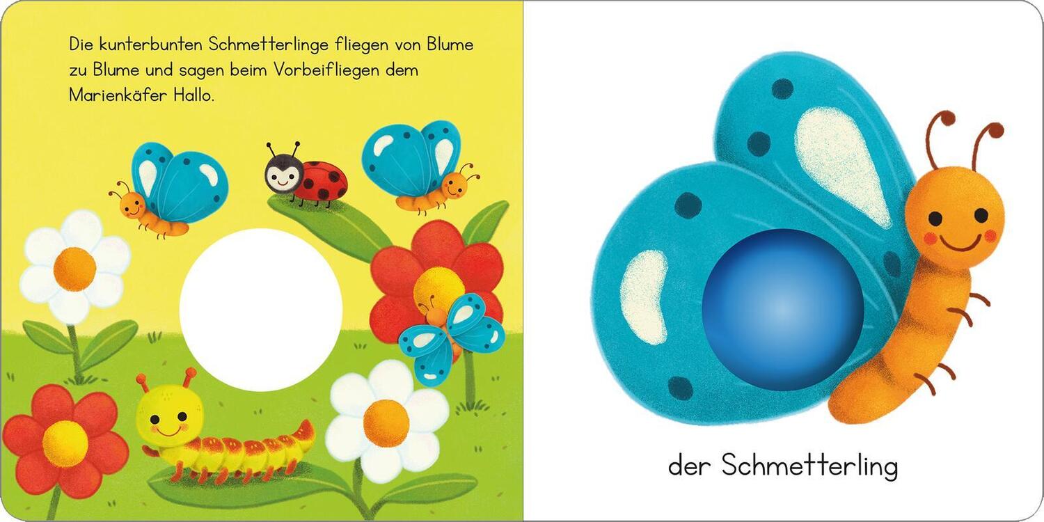 Bild: 9783845851327 | Mein erstes Pop-it-Buch - Kleiner Wal | Plopp! | Buch | 10 S. | 2022