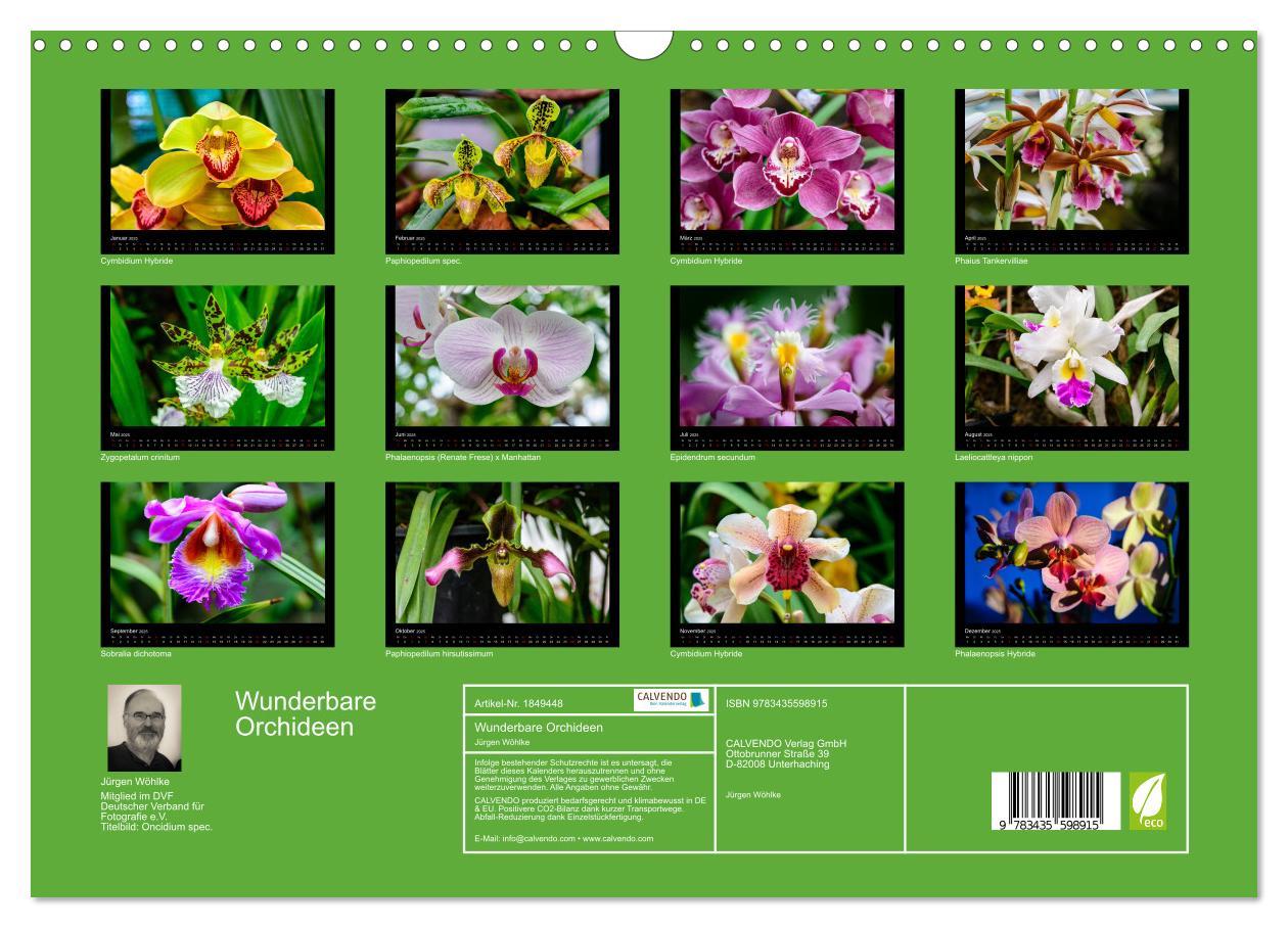 Bild: 9783435598915 | Wunderbare Orchideen (Wandkalender 2025 DIN A3 quer), CALVENDO...