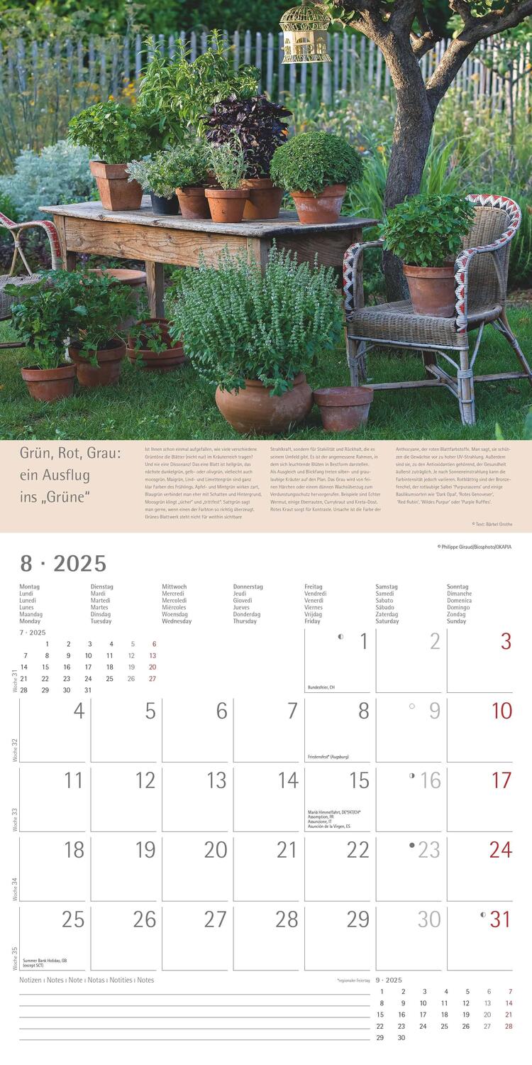 Bild: 4251732340841 | Alpha Edition - Kräuter &amp; Gewürze 2025 - Broschürenkalender 30x30...