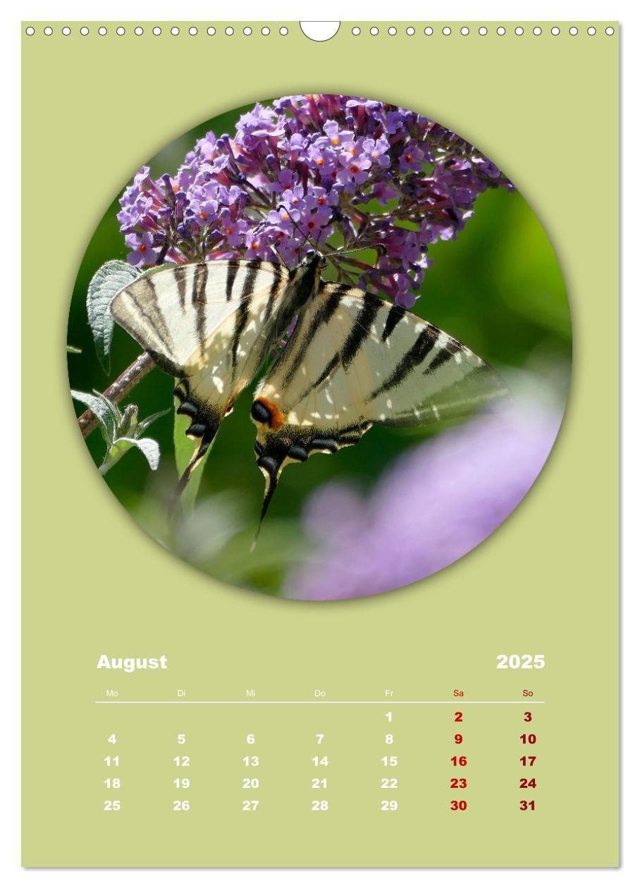 Bild: 9783435897186 | Rundherum Natur (Wandkalender 2025 DIN A3 hoch), CALVENDO...