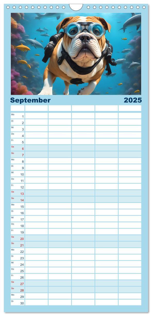 Bild: 9783457090909 | Familienplaner 2025 - Hunde abgetaucht mit 5 Spalten (Wandkalender,...