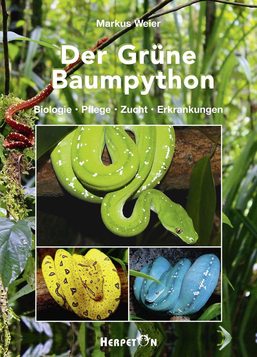 Cover: 9783936180497 | Der Grüne Baumpython | Biologie, Pflege, Zucht und Erkrankungen | Buch