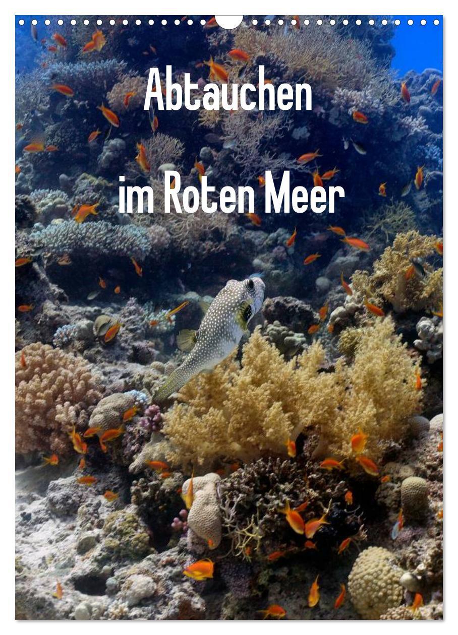 Cover: 9783383353819 | Abtauchen im Roten Meer (Wandkalender 2024 DIN A3 hoch), CALVENDO...