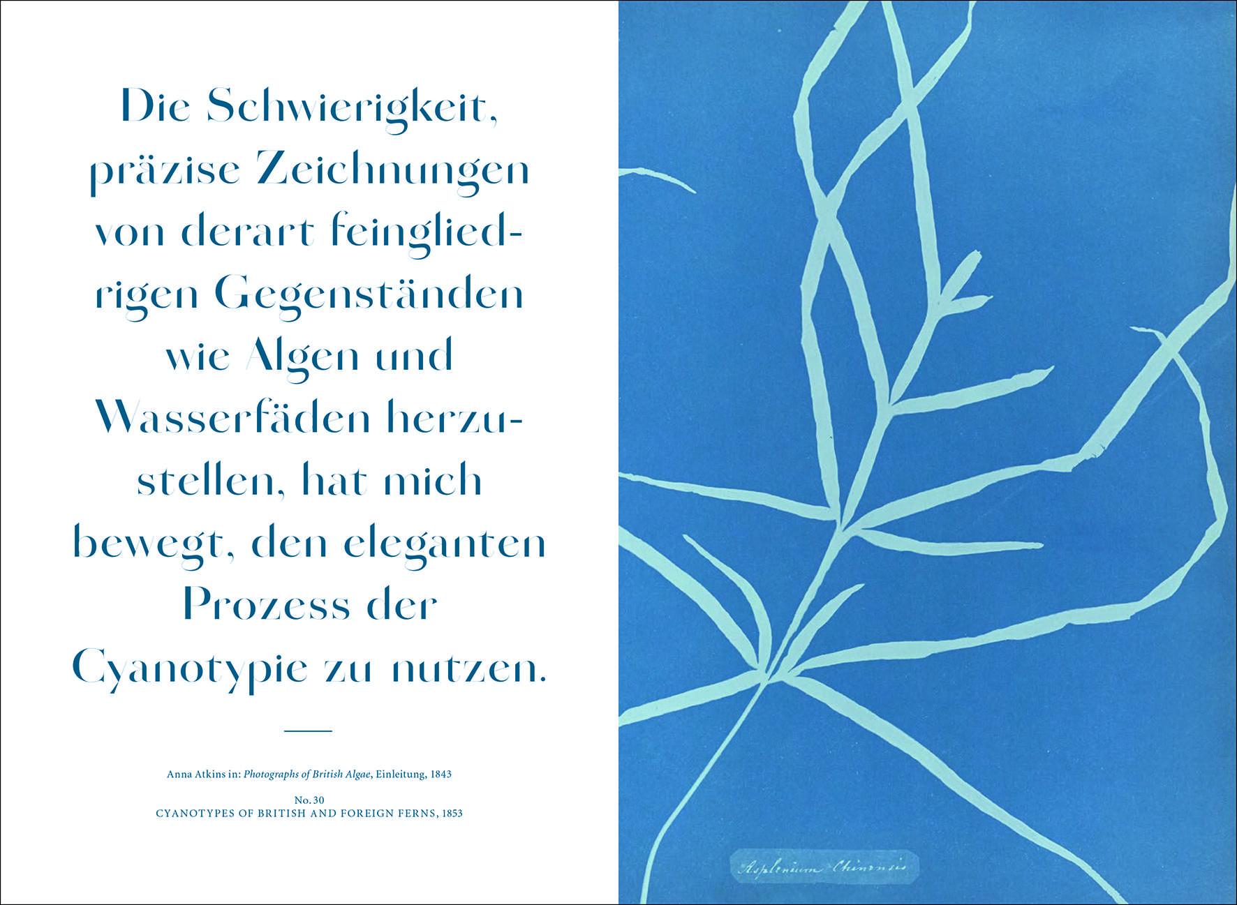 Bild: 9783943616811 | Anna Atkins | Blue Prints | Rolf Sachsse | Buch | 72 S. | Deutsch