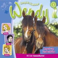 Cover: 4001504263010 | Folge 01:Angst Um Lindenhöhe | Wendy | Audio-CD | Deutsch | 2009