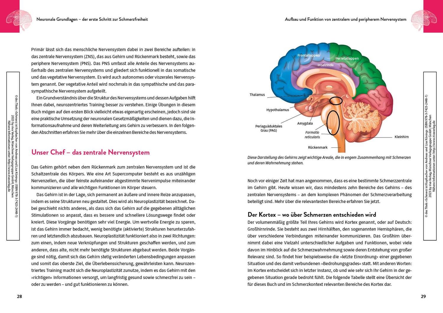 Bild: 9783742324481 | Schmerz ist Kopfsache | Andreas Könings (u. a.) | Taschenbuch | 288 S.