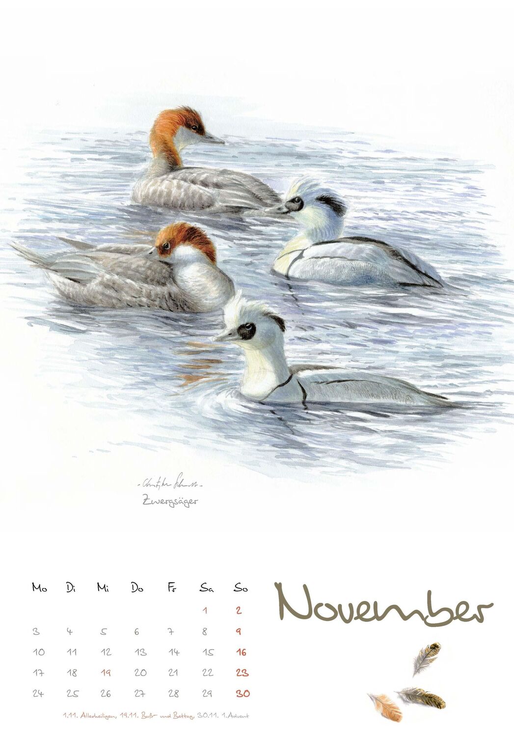 Bild: 9783895664373 | Vogelimpressionen 2025 | Naturillustrationen von Christopher Schmidt