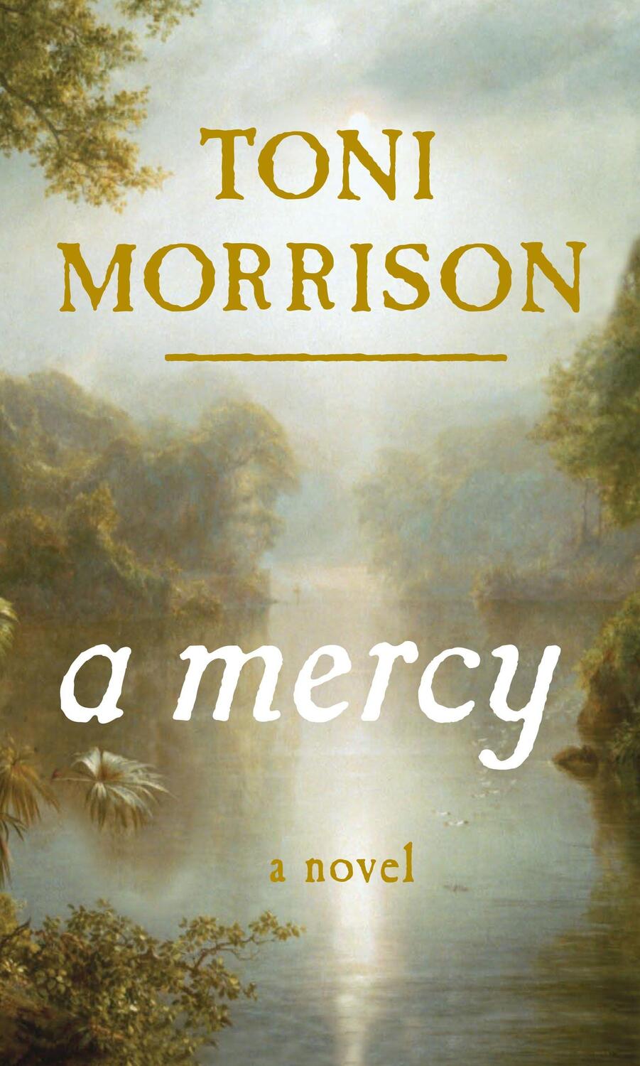Cover: 9780307264237 | A Mercy | Toni Morrison | Buch | 168 S. | Englisch | 2008