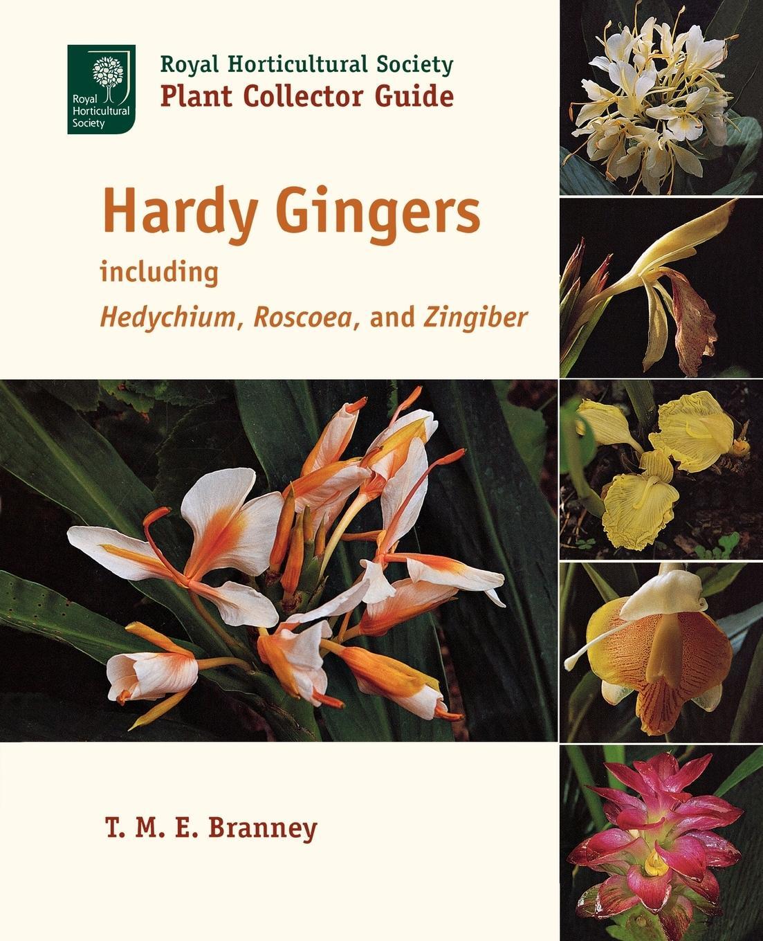 Cover: 9781604691733 | Hardy Gingers | Including Hedychium, Roscoea, and Zingiber | Branney