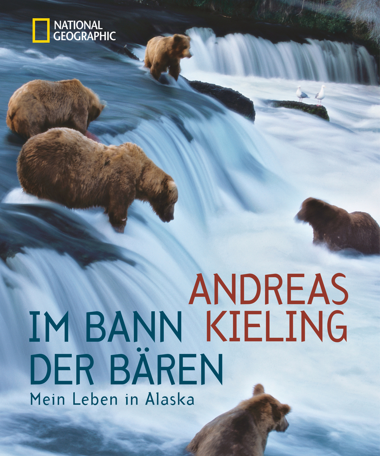 Cover: 9783866904408 | Im Bann der Bären | Mein Leben in Alaska | Andreas Kieling (u. a.)