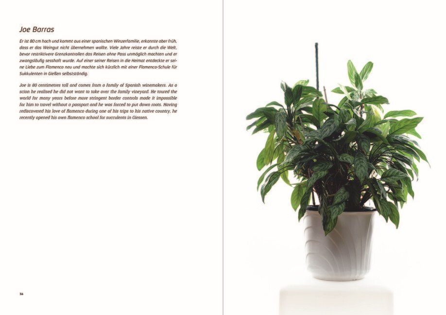 Bild: 9783954762460 | Urban Plants | Bio-Biographies | Christoph W. Aigner (u. a.) | Buch