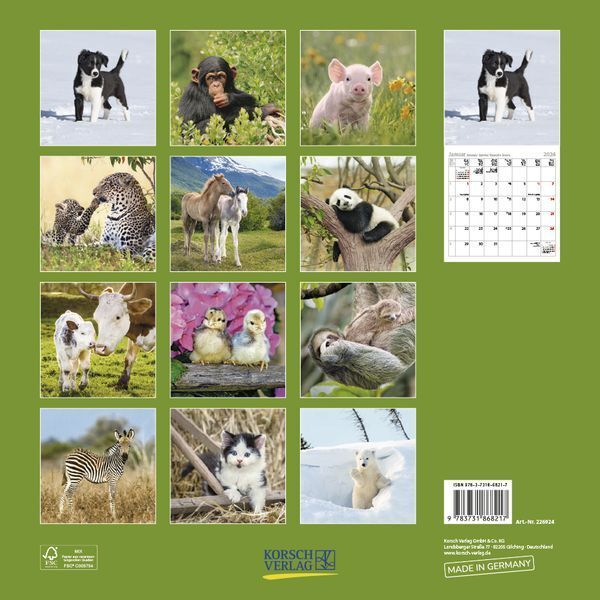 Bild: 9783731868217 | Tierkinder 2024 | Korsch Verlag | Kalender | Englisch Broschur | 13 S.