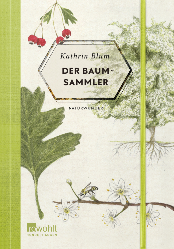 Cover: 9783498001919 | Der Baumsammler | Kathrin Blum | Buch | 192 S. | Deutsch | 2020