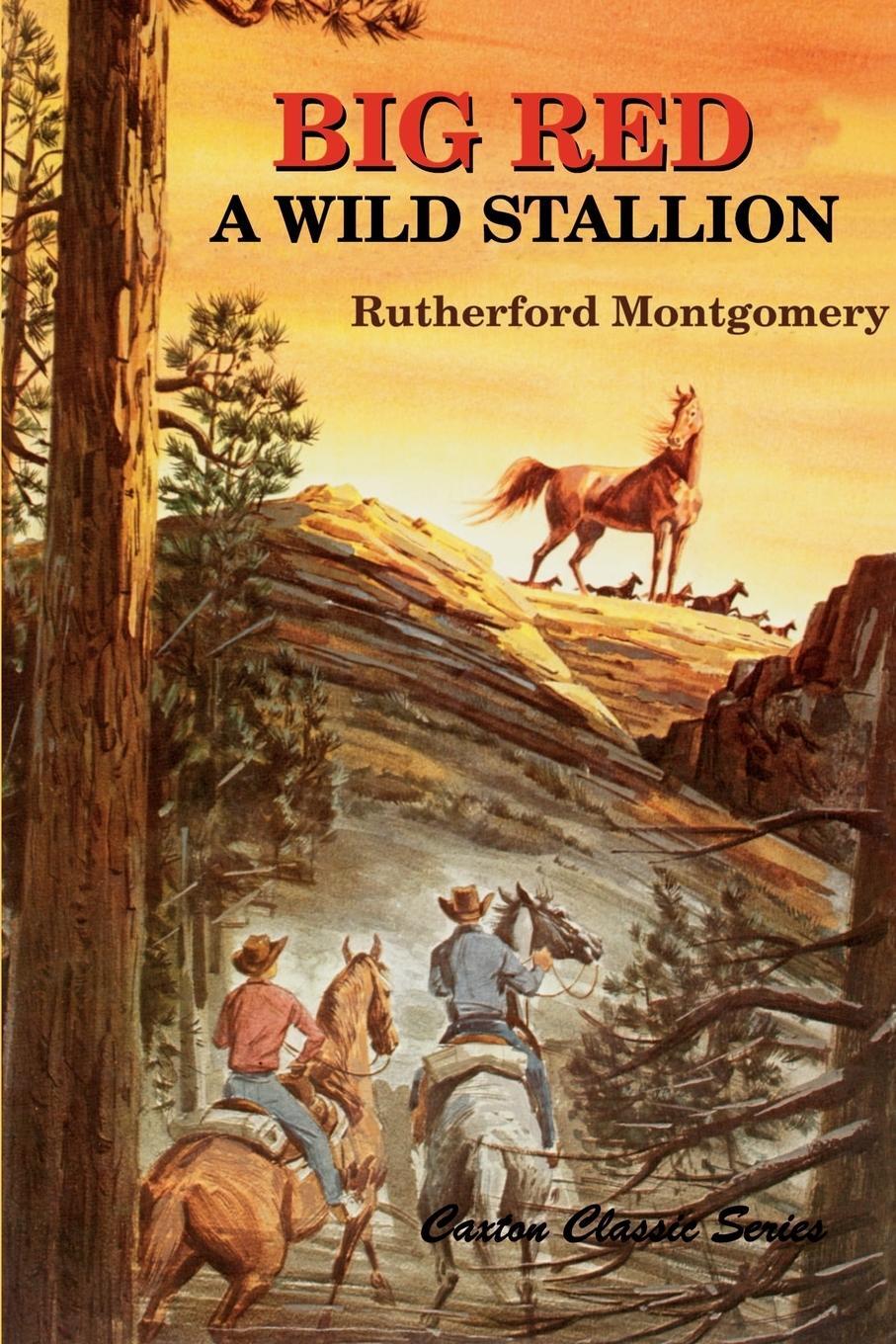 Cover: 9780870044045 | Big Red | A Wild Stallion | Rutherford George Montgomery | Taschenbuch