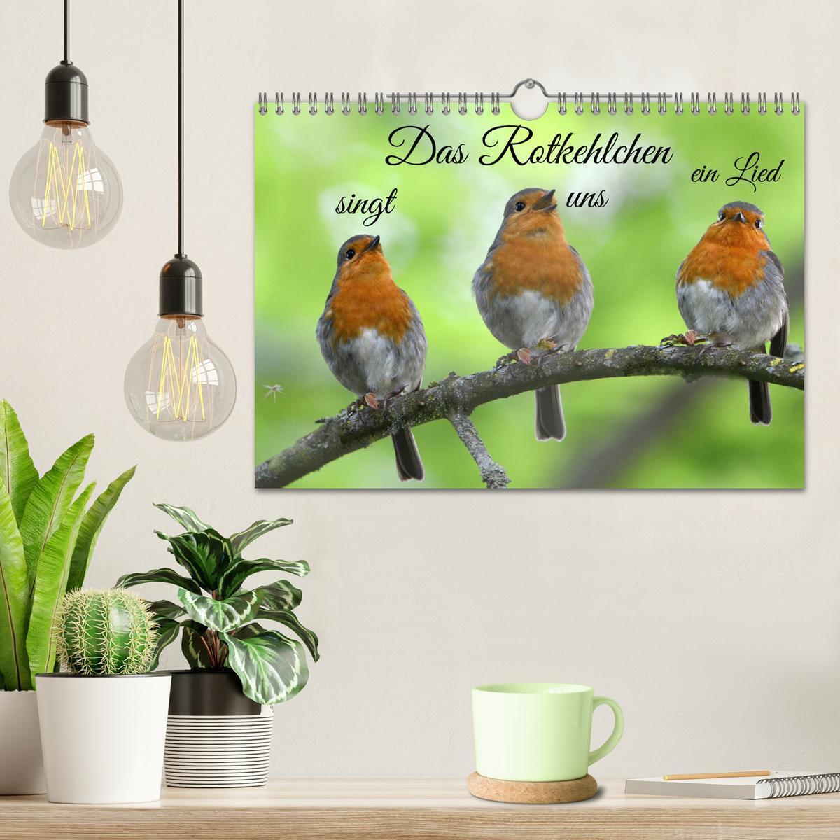 Bild: 9783435259137 | Das Rotkehlchen singt uns ein Lied (Wandkalender 2025 DIN A4 quer),...