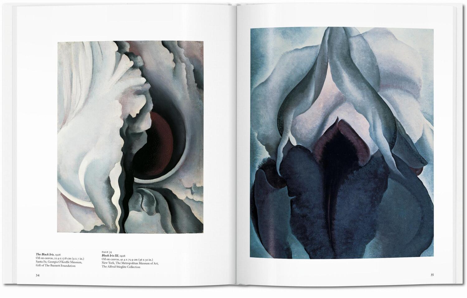 Bild: 9783836532723 | O'Keeffe | Britta Benke | Buch | Basic Art Series | Hardcover | 96 S.