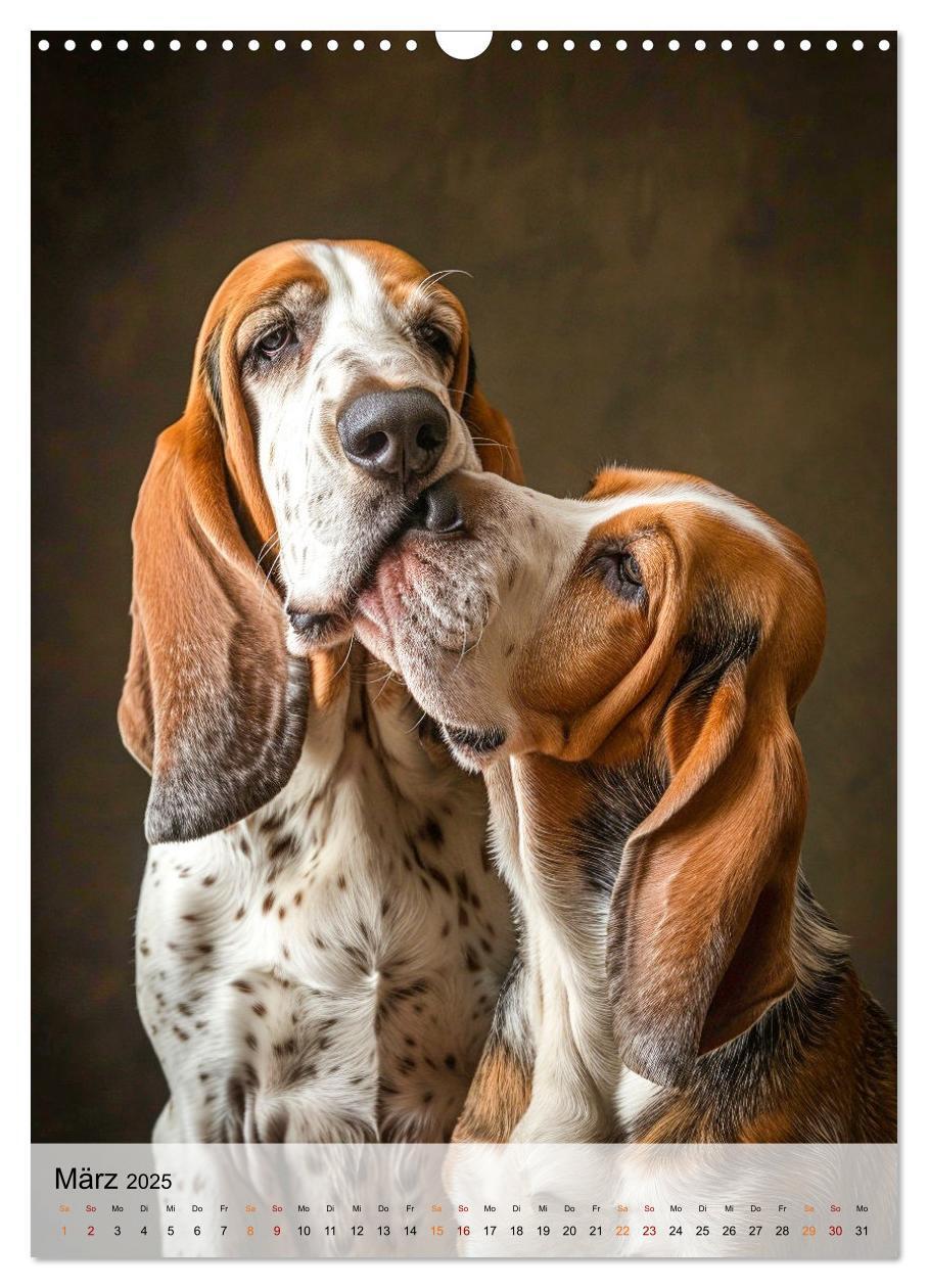 Bild: 9783383779886 | Basset Hound - freundlich und anhänglich (Wandkalender 2025 DIN A3...