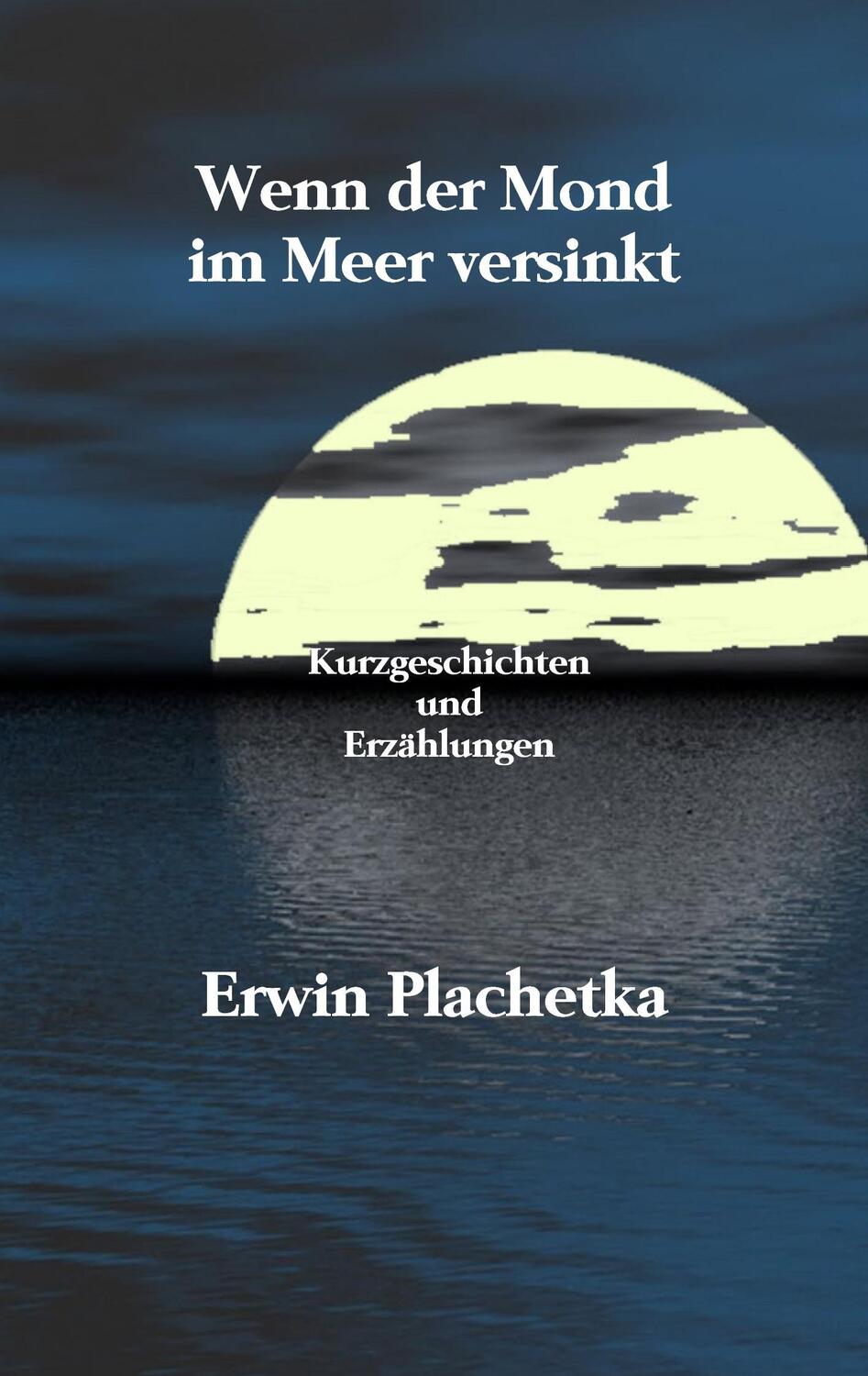 Cover: 9783740732004 | Wenn der Mond im Meer versinkt | Kurzgeschichten und Erzählungen