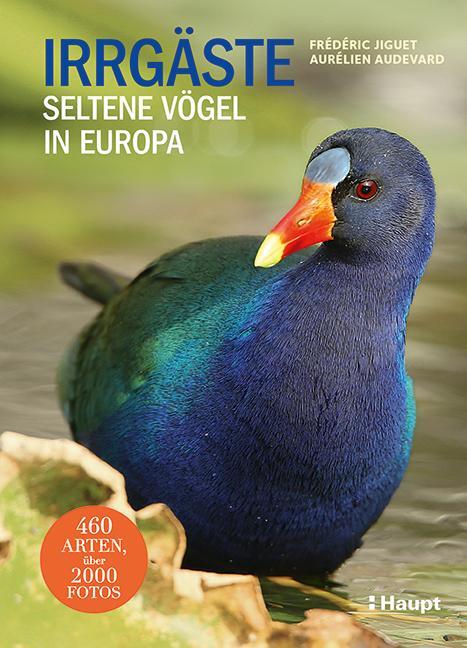 Cover: 9783258081977 | Irrgäste | Seltene Vögel in Europa | Frédéric Jiguet (u. a.) | Buch