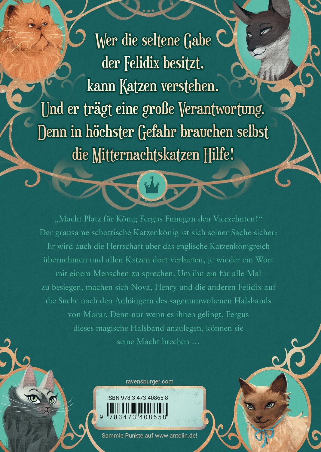 Rückseite: 9783473408658 | Mitternachtskatzen, Band 3: Der König der Federträger...