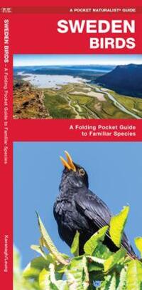 Cover: 9781620053508 | Sweden Birds | A Folding Pocket Guide to Familiar Species | Broschüre