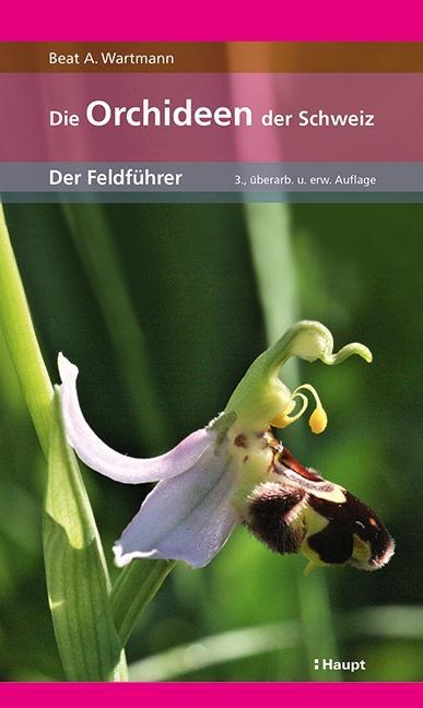 Cover: 9783258081298 | Die Orchideen der Schweiz | Der Feldführer | Beat A Wartmann | Buch