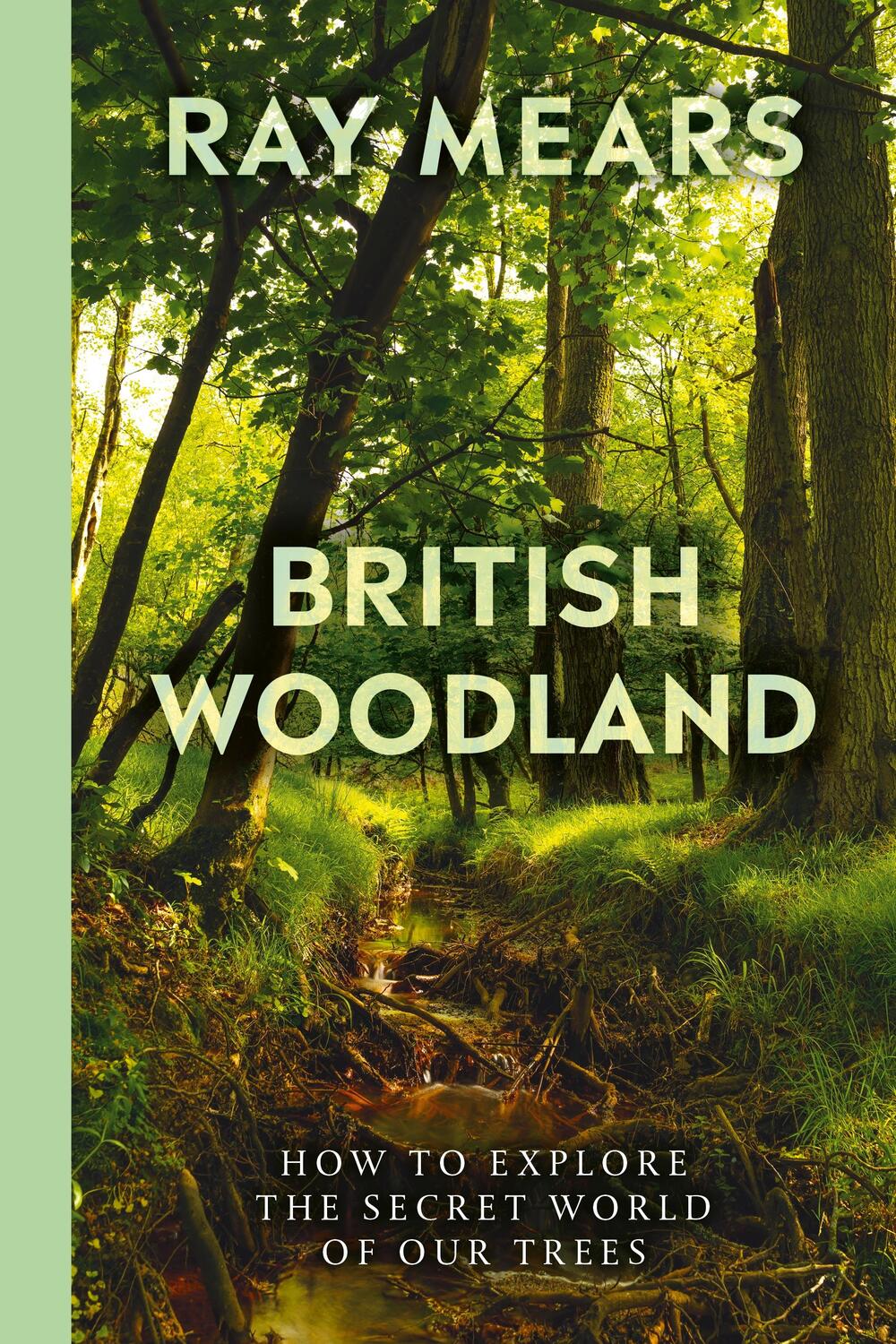 Cover: 9781529109993 | British Woodland | How to explore the secret world of our trees | Buch