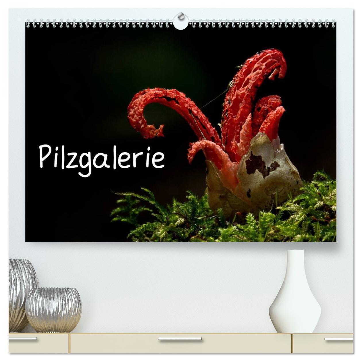 Cover: 9783383331770 | Pilzgalerie (hochwertiger Premium Wandkalender 2024 DIN A2 quer),...