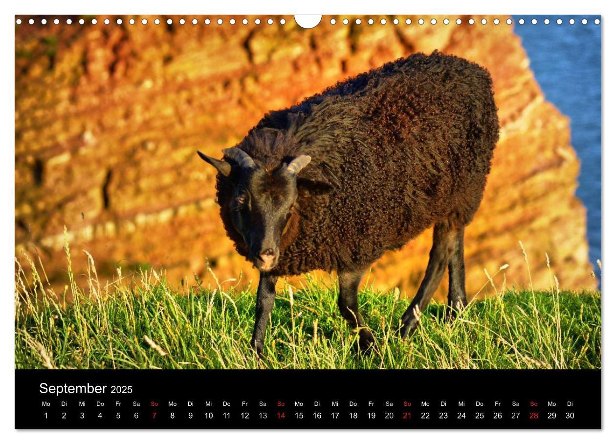 Bild: 9783435806362 | Abend in Helgoland (Wandkalender 2025 DIN A3 quer), CALVENDO...