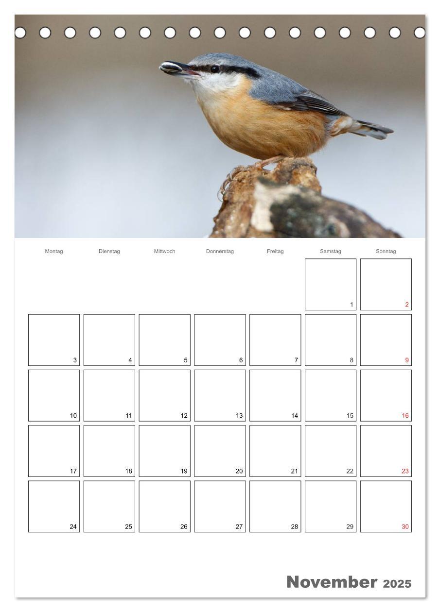 Bild: 9783457007730 | Vögel im heimischen Garten (Tischkalender 2025 DIN A5 hoch),...