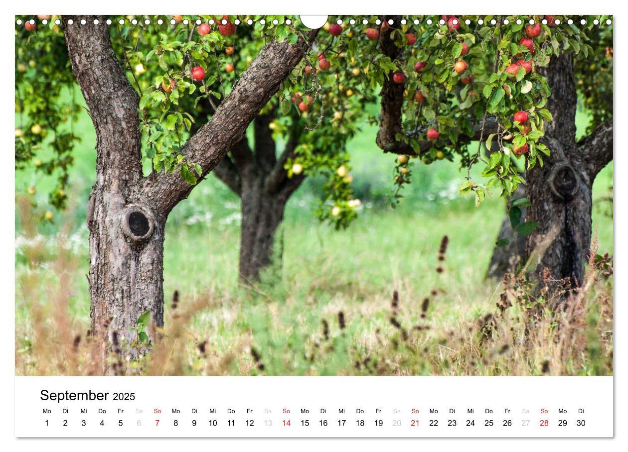 Bild: 9783435669646 | Impressionen aus Kernen im Remstal (Wandkalender 2025 DIN A3 quer),...