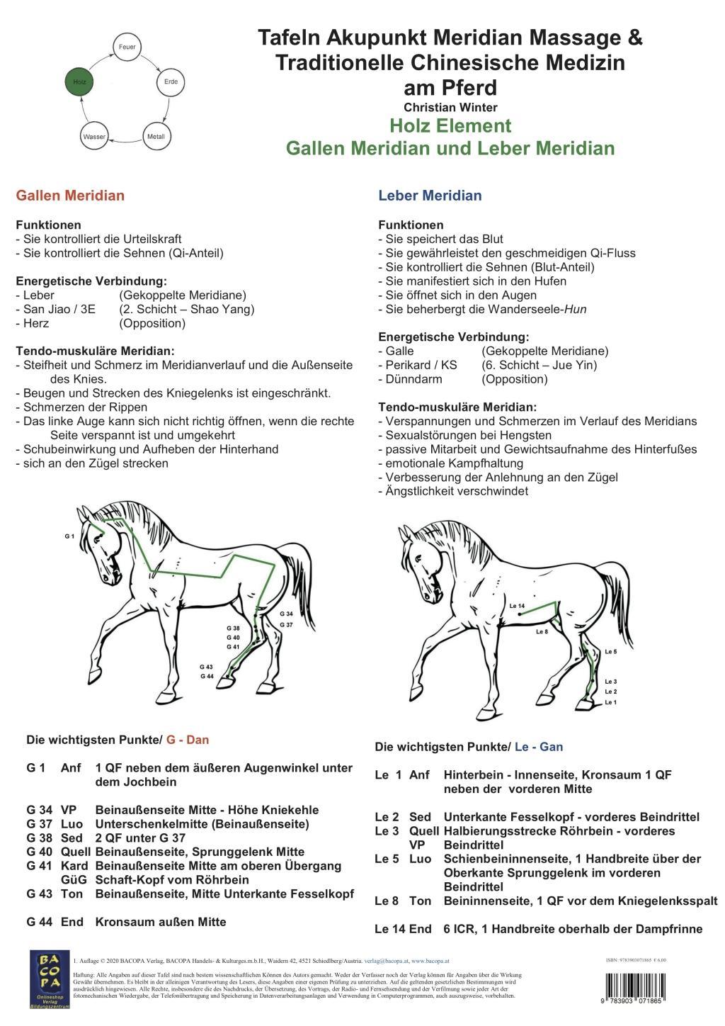 Cover: 9783903071865 | Holz Element - Gallen Meridian und Leber Meridian | Christian Winter