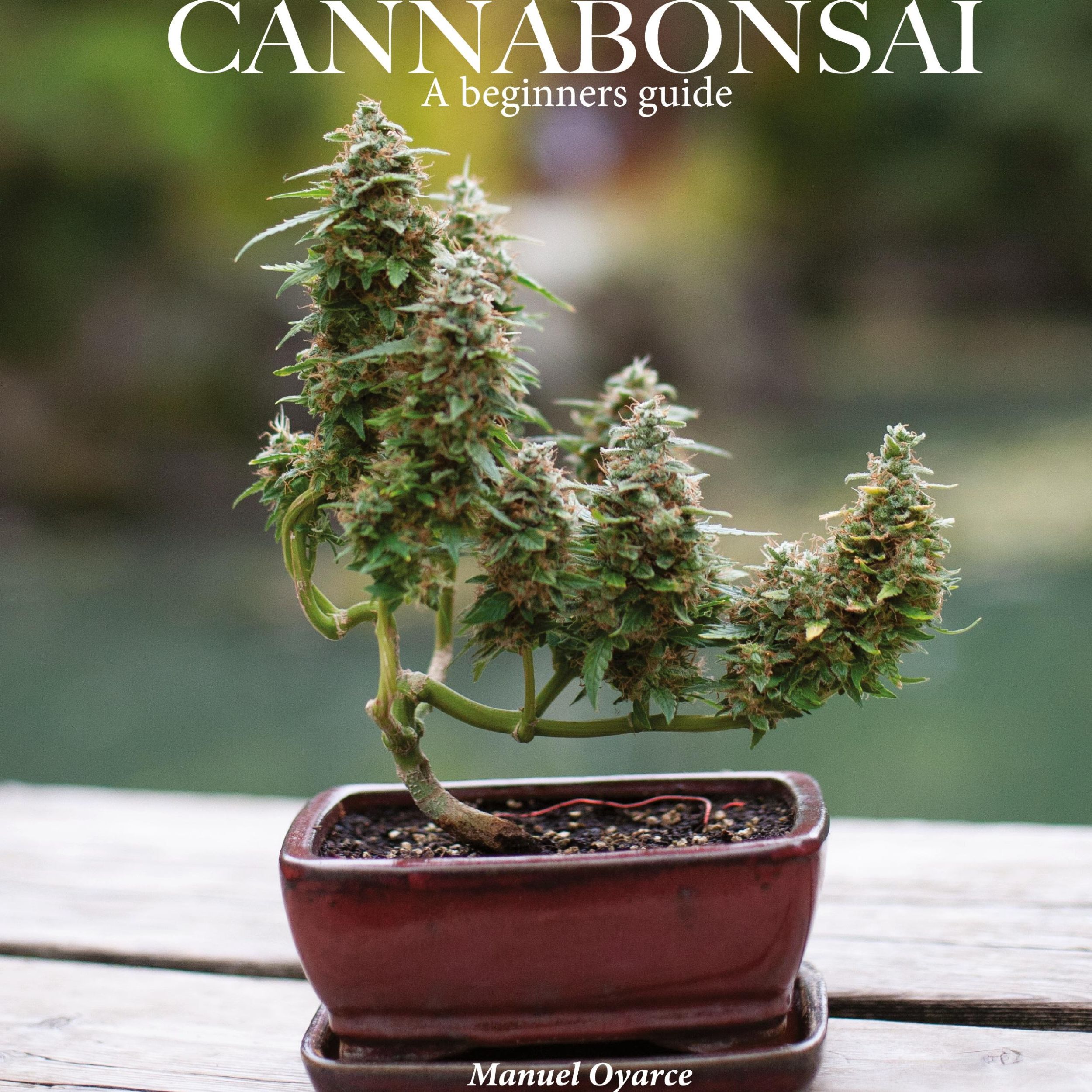 Cover: 9781716038228 | Cannabonsai | : A Beginners Guide | Manuel Oyarce | Buch | Englisch