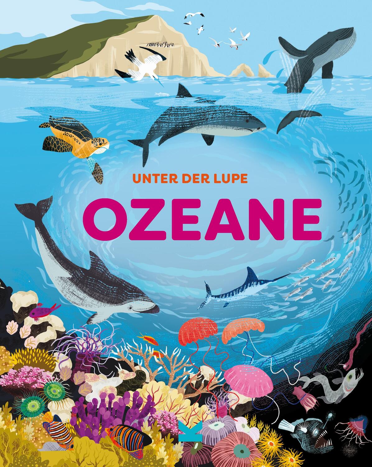 Cover: 9783962443047 | Unter der Lupe: Ozeane | Jon Richards (u. a.) | Buch | 32 S. | Deutsch
