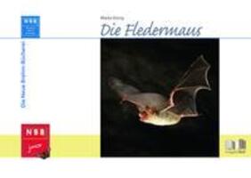 Cover: 9783894322762 | Die Fledermaus | Marko König | Buch | NBB junior | Deutsch | 2017